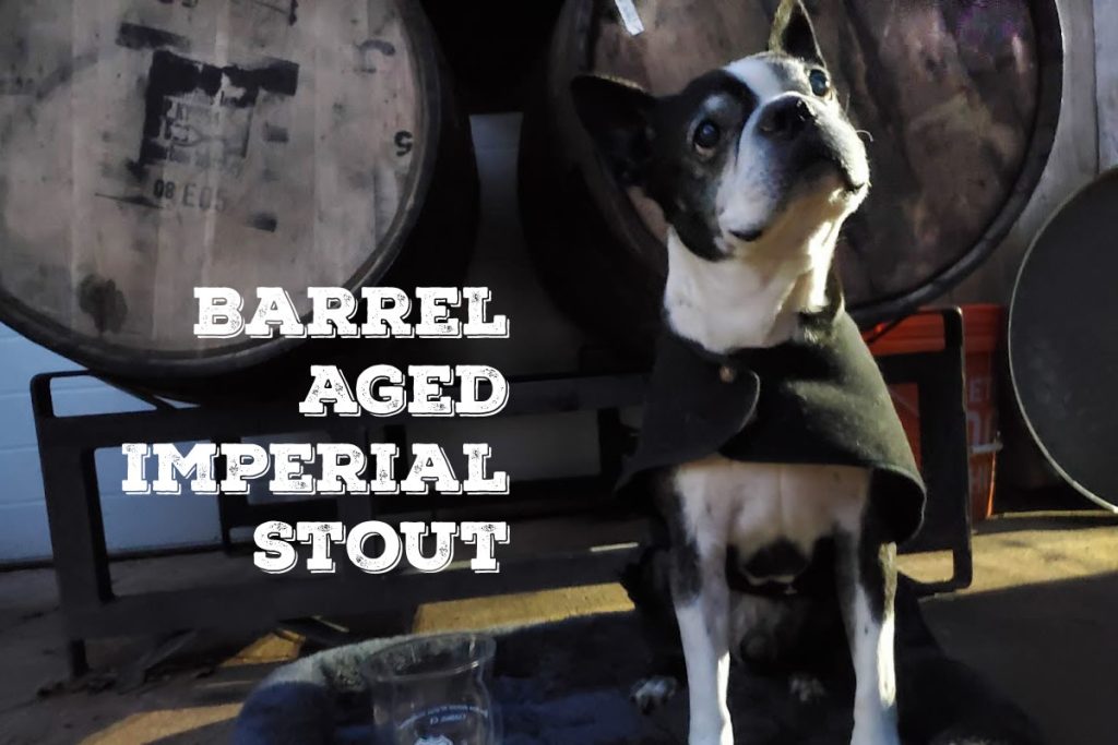 Boston Terrier in front of bourbon barrels. "Barrel aged imperial stout."