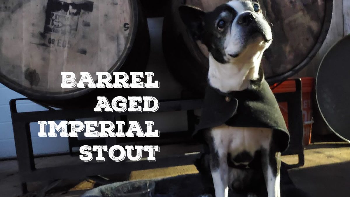 Boston Terrier in front of bourbon barrels. "Barrel aged imperial stout."