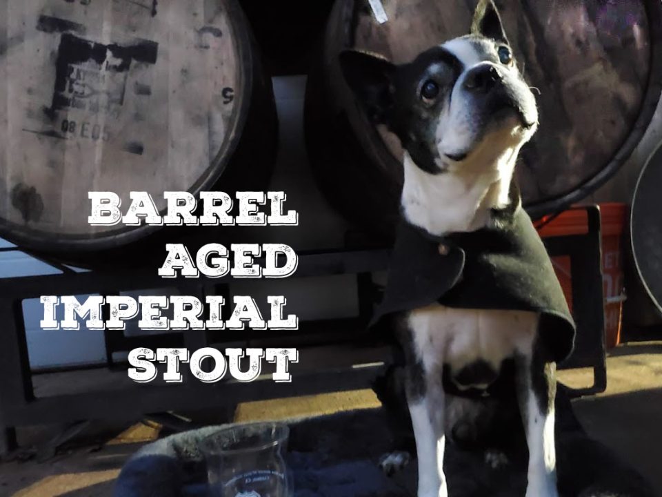 Boston Terrier in front of bourbon barrels. "Barrel aged imperial stout."